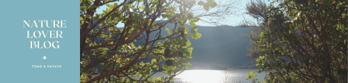 Nature Lover Blog